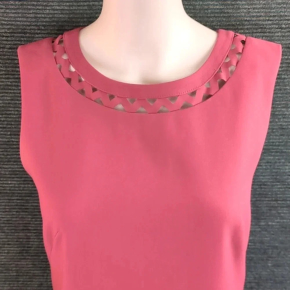 For Kitty Rescue! Loft Cutout Sheath Dress - Picture 1 of 13